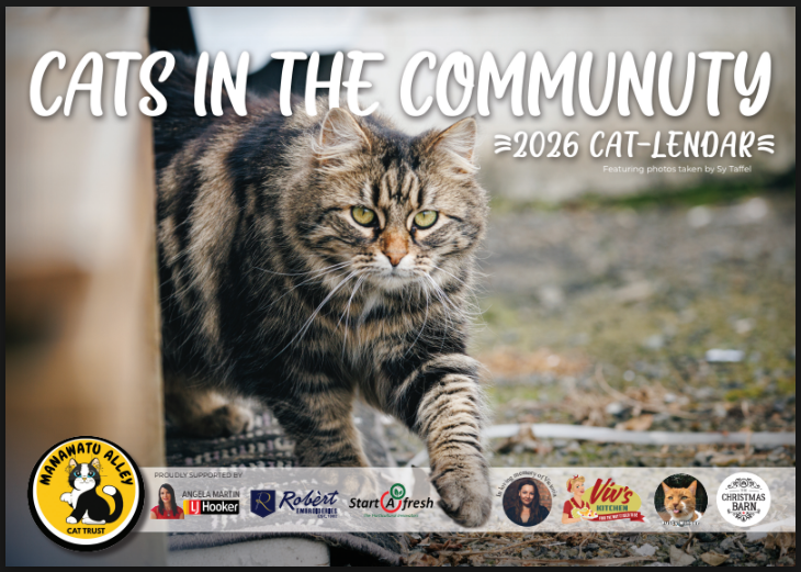 Screenshot 2025-11-12 183005