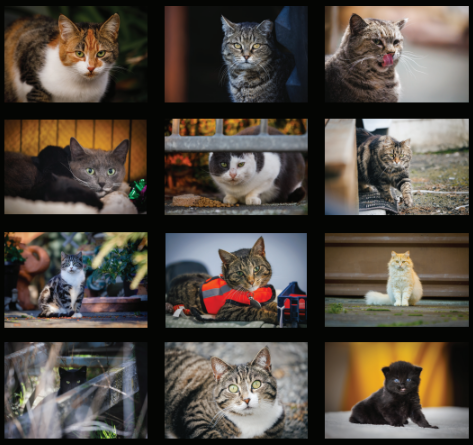 Screenshot 2025-11-12 183039